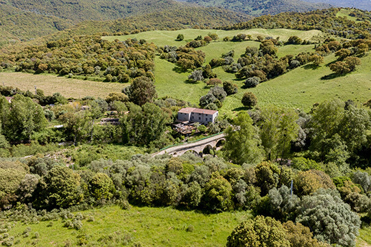 Vue générale du restaurant de l’auberge U Mulinu