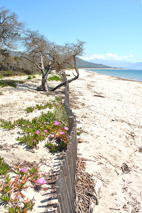 Plage d’Olmeto à proximité de l’Auberge U Mulinu : Tourisme en Corse