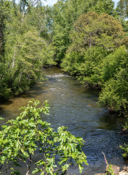 Rivière à proximité de l’Auberge U Mulinu : Tourisme en Corse
