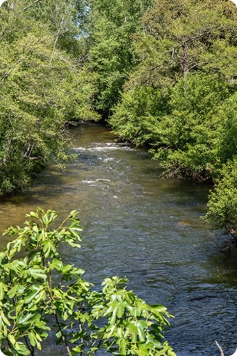 Rivière de l’auberge U Mulinu en Corse