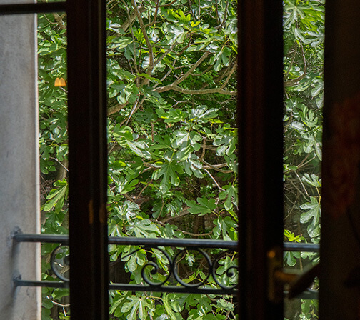 Chambres de l’Auberge U Mulinu en Corse : des vues ouvertes sur la nature